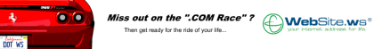 Online Home Business
