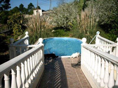 Ferienwohnung La Florida auf Teneriffa
