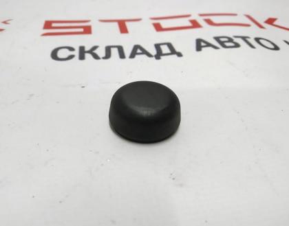 Kappe Ziermutter Wischer Tesla Modell 3 Modell Y 1106610-00-A