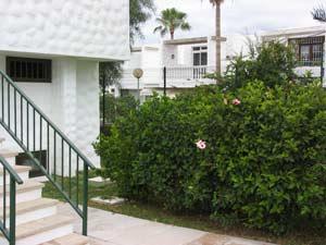 Apartments Vedder 1 2 in Playa de las Americas