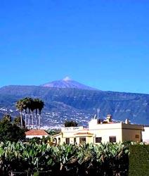 . Finca Fugaz in Puerto de la Cruz