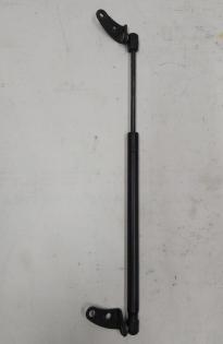 Linke Haubendämpferbaugruppe Tesla Model S Model S REST 6006603-00-C