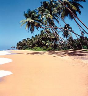 SRI LANKA Beruwela Ü. F. 10 00 Euro. Preiswerte Rundreisen