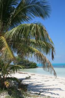 Mexico Backpacker Cancun ab 852 Euro
