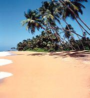 Sri Lanka Beruwela Ü. F. 10 Euro. Preiswerte Rundreisen
