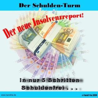 Der neue Insolvenzreport-Report 2022 ist da
