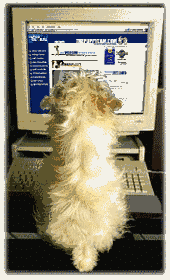 Immer noch ohne Arbeit