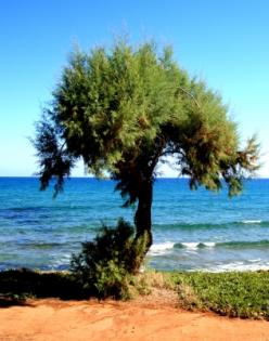 Kreta 4-Sterne-Hotel All Inclusive Flug ab 399 Euro