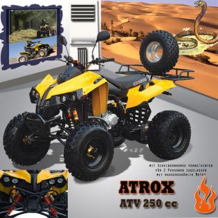 ATV mit Strassenzul. Sommerfeeling bei schottenpenny
