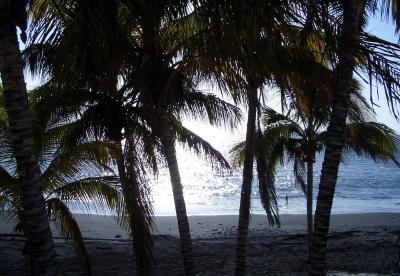 Kanaren La Palma Appartment Flug ab 294 Euro