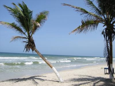 Venezuela Isla de Coche All Inclusive Flug ab 669 Euro