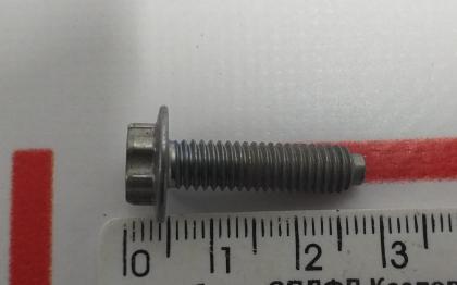 Schraube TRX FLG M6-1. 0X23 8. 8 -MP Tesla Modell 3 1100020-00-A