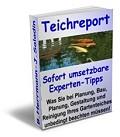 Goldfische füttern
