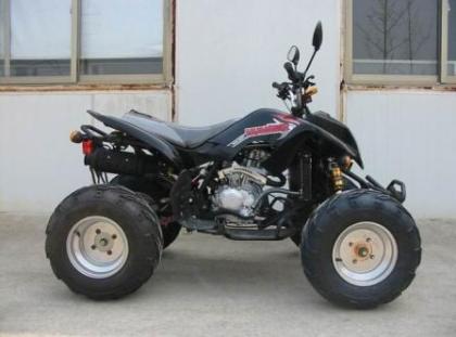 Quads Sportquads Miniquads Pocketbikes