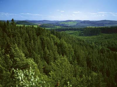 Den Sommer auf dem Wanderweg Erzweg genießen