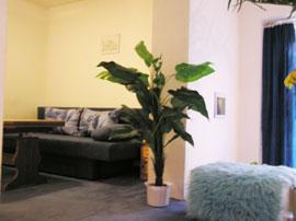 Kurzfristig verfügbare preiswerte Ferien-Apartments in Wien