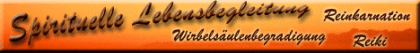 Sprituelle Lebensbegleitung - Reiki Reinkarnation Wirbelsäulenbegradigung