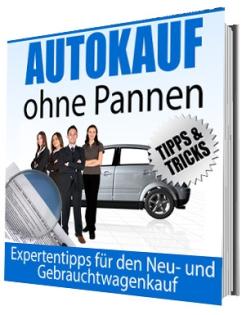 Autokauf ohne Pannen KFZ-Steuer Autohaftpflicht und Kasko-Versicherungen Kraf
