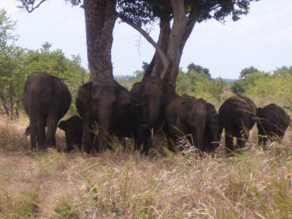 Sri Lanka Unser Top Angebot für den 2022 Sommer