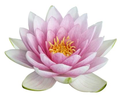 Reiki Wahrsagen Kartenlegen Medium hilft in jeden Lebenslagen