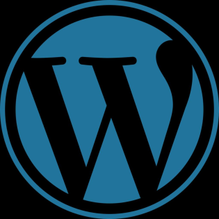 Wordpress Soforthilfe Wartung Pflege Fehlerbehebung SEO