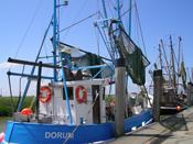 Urlaub und Ferien im Nordseebad Dorum-Neufeld zwischen Bremerhaven und Cuxhaven