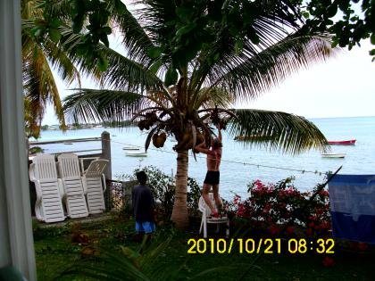 Mauritius Apartment Naden 1 Grand Baie