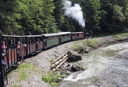 Brasov Bran City Tour - 3 Tage Führung durch das mittelalterliche Brasov und D