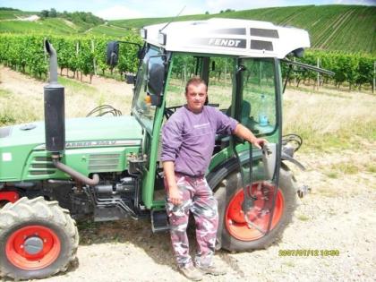Ich biete handarbeit ausführen im Weinberg