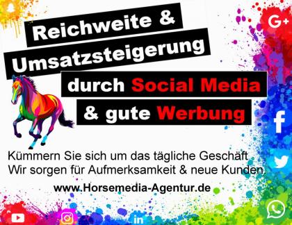 Erstellung von Homepage Instagram und Facebook