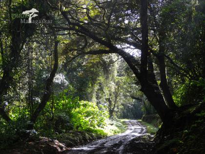 Madagaskar Reise durch den Norden 2022