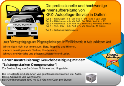 Die professionelle und hochwertige Innenaufbereitung