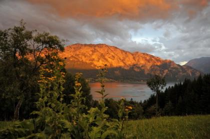 Ferienwohnung am Attersee - Ferienhof Margarethengut