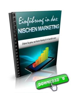 Einführung in das Nischen Marketing