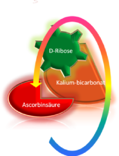 Kaliumascorbat mit Ribose Das Original
