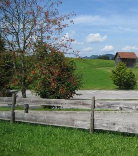 Ferienhaus im Allgäu bis 5 Personen
