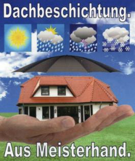 Sanierung - Statt Teurer Neueindeckung