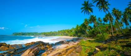 Ayurvedareisen nach Indien und Sri Lanka