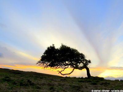 Herbstferien NRW zwei Wochen Sardinien ab 388 Euro