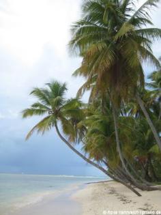 Herbstferien NRW 15 Tage Sri Lanka ab 823 Euro