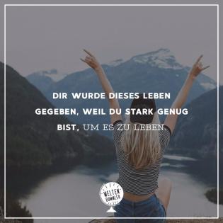Bestseller Entscheidung ERFOLG für 0 - EUR