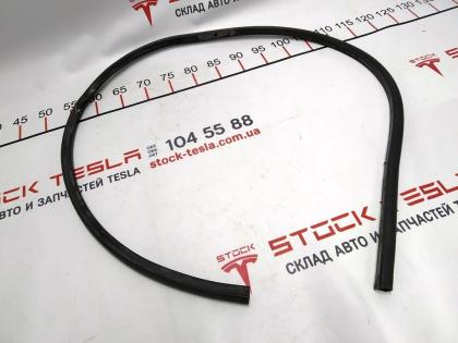 Türdichtung hinten links beschädigt Tesla Modell 3 1090509-00-D