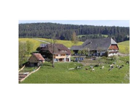 Ferienwohnung auf Biohof mit schönem Ambiente super Lage für Familien- Wander