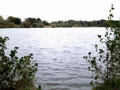 Angelgewässer Woldsee Bilder von Angel. Blog. Zwischen Weser und Ems