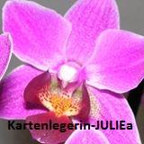 Kartenlegerin JULIEa ehrliches treffsicheres Kartendeuten m. 25 J. Erfahrung