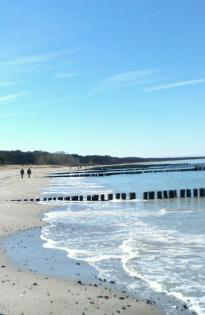 Insel Rügen - strandnahe Ferienhäuser - freie Zeiten im Sommerurlaub