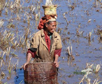 Madagaskar Frauenreise - Von und für Frauen 2022
