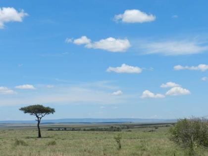 Die Fluege Kenia sind im Moment günstig machen Sie eine Kenia Safari zum 8. Wel