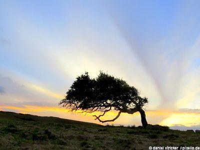 Herbstferien NRW zwei Wochen Sardinien ab 388 Euro