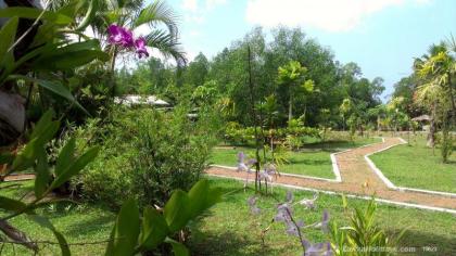 2 Wochen Yoga Retreat mit Vollpension Yoga in Sri Lanka